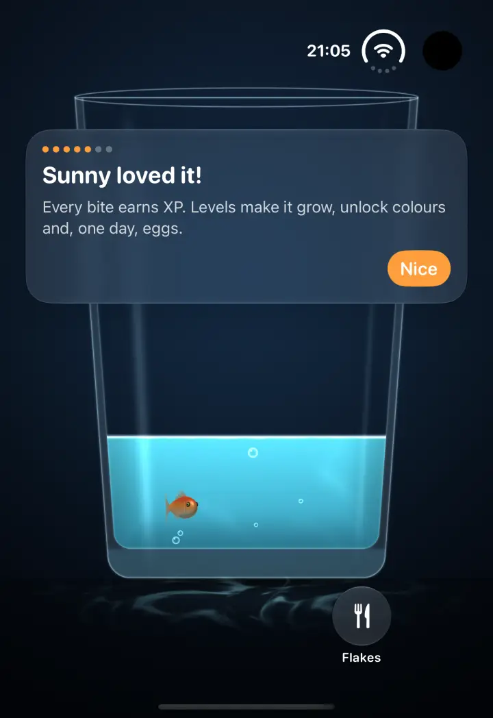 A goldfish taking its first bite of flakes.